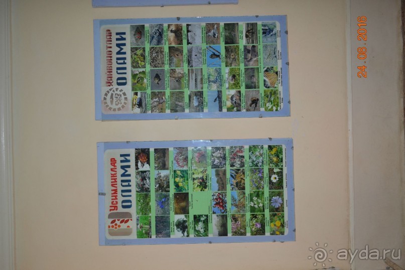 Девственный уголок рая 