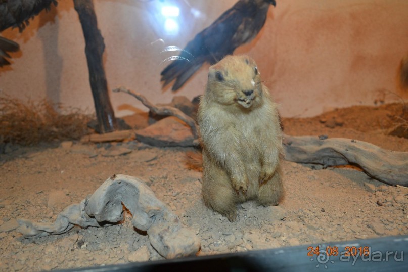 Девственный уголок рая 