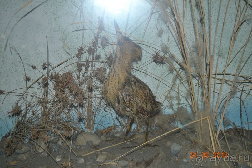 Девственный уголок рая 