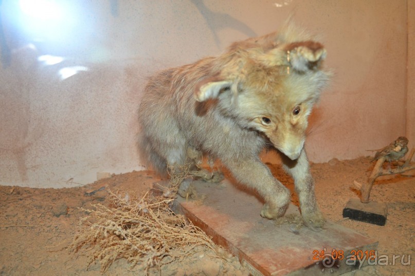 Девственный уголок рая 