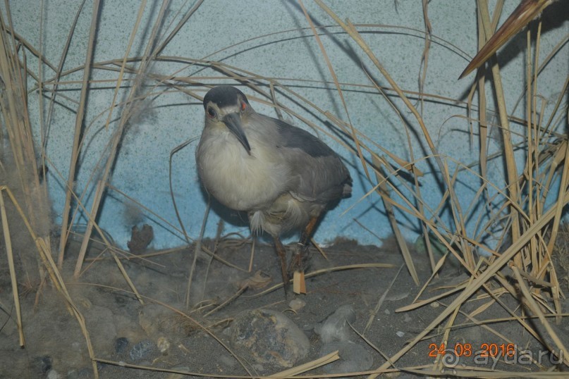 Девственный уголок рая 