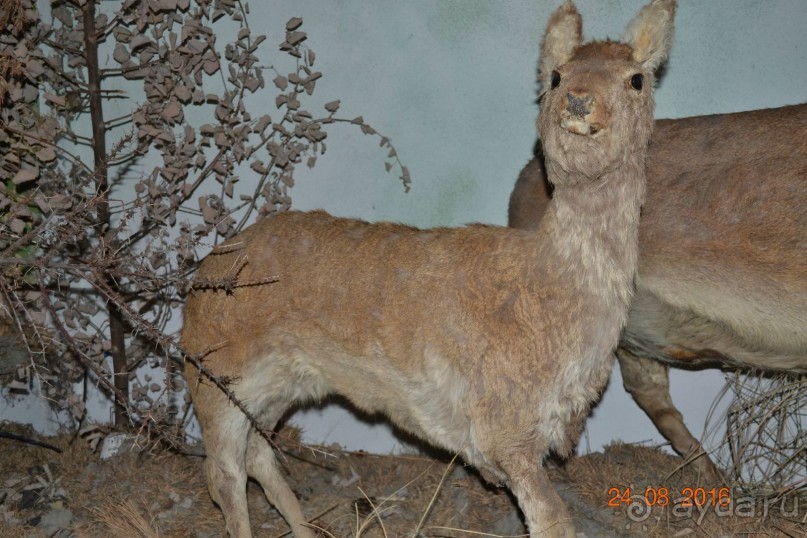 Девственный уголок рая 