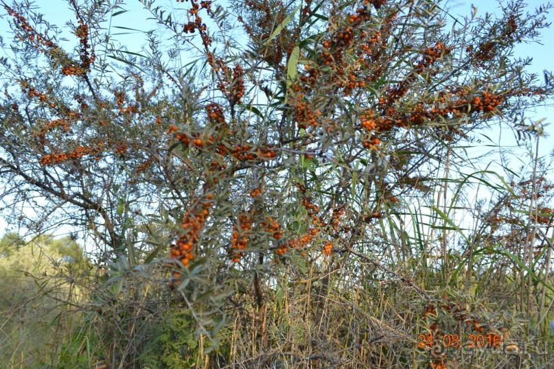 Девственный уголок рая 