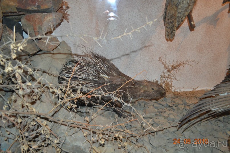 Девственный уголок рая 