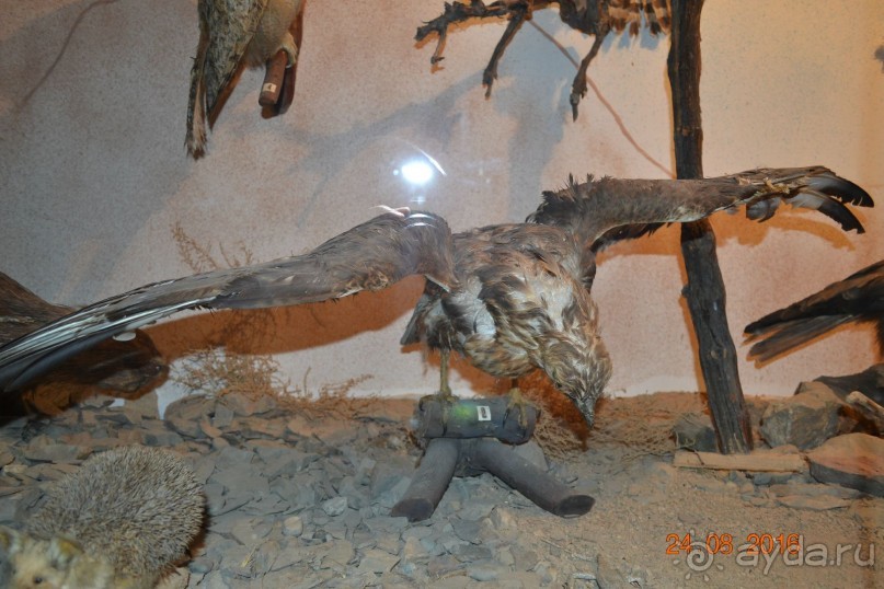 Девственный уголок рая 