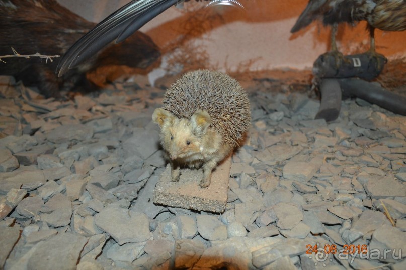 Девственный уголок рая 