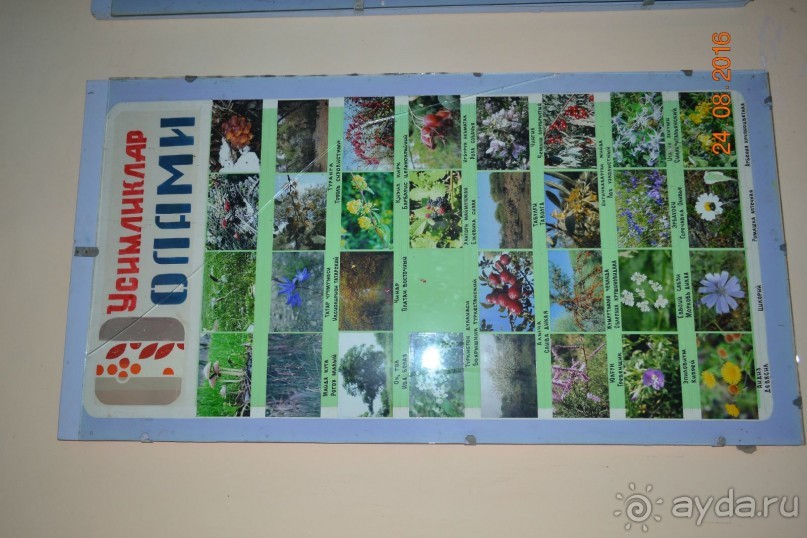 Девственный уголок рая 