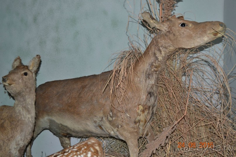 Девственный уголок рая 