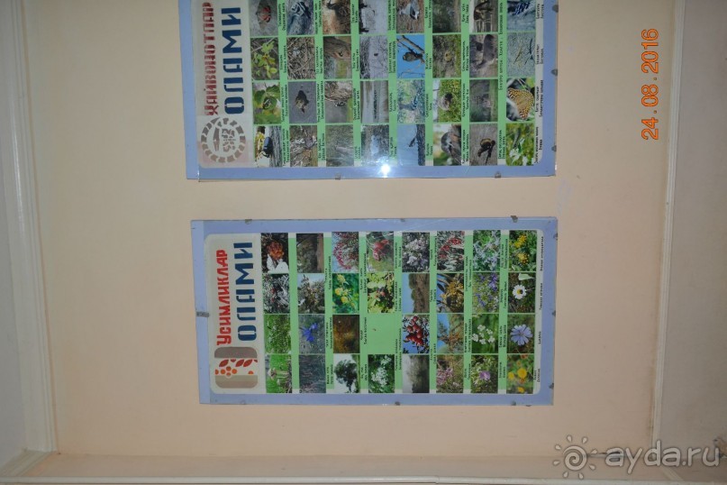 Девственный уголок рая 