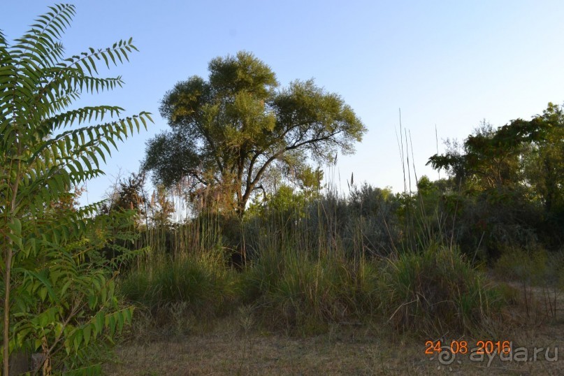 Девственный уголок рая 