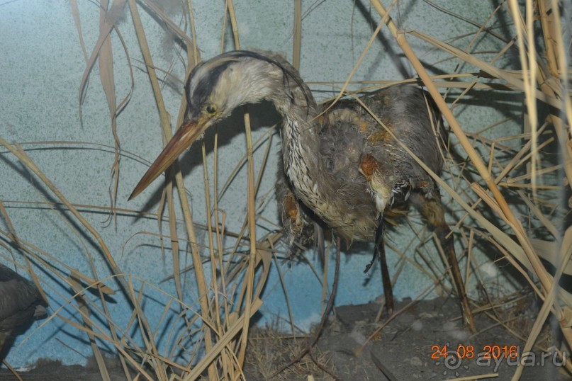 Девственный уголок рая 