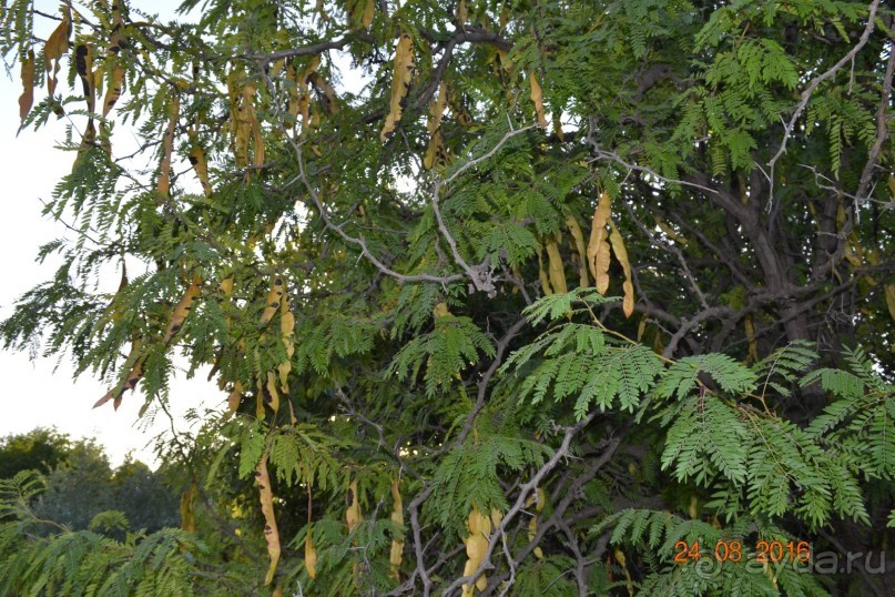 Девственный уголок рая 