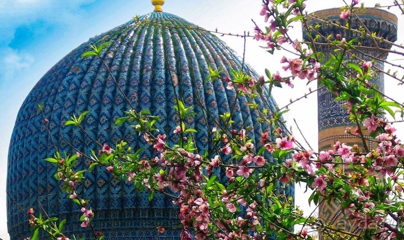 фото Бухары