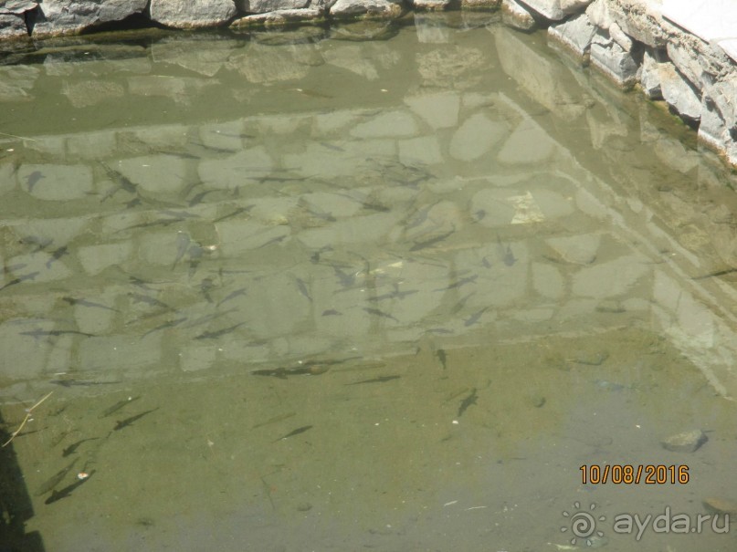               Волшебная мечеть «Баликчи ота»