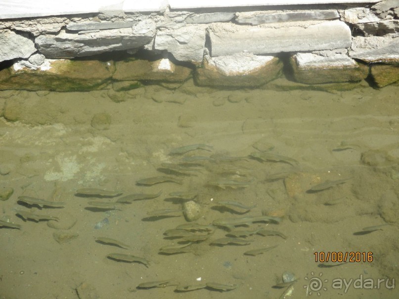               Волшебная мечеть «Баликчи ота»