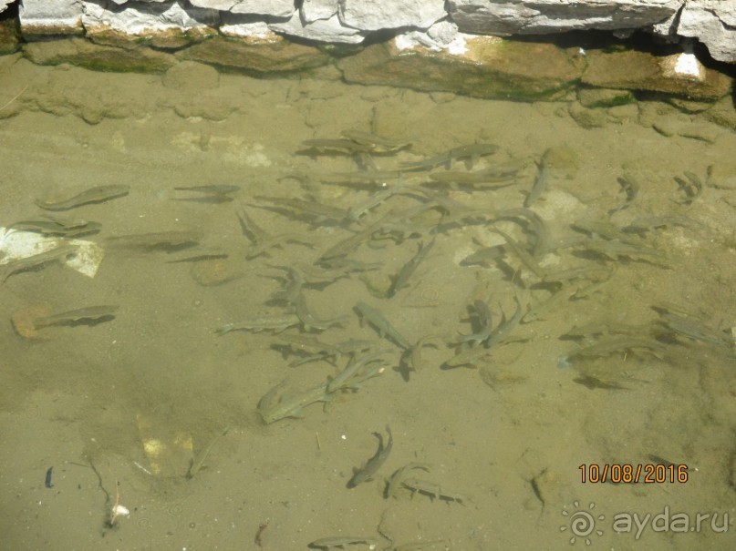               Волшебная мечеть «Баликчи ота»