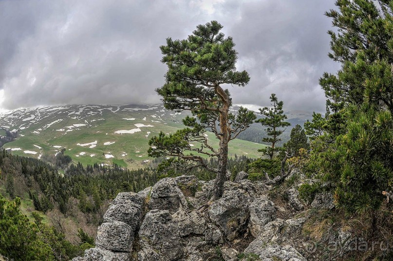 Угам-Чаткальский государственный национальный  природный парк - край первозданной природы