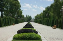 Альбом отзыва "ВЕЛИКИЙ ХАДИСОВЕД"