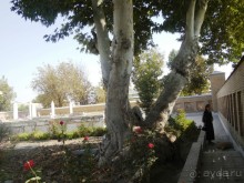 Пастдаргом- одна из жемчужин Самарканда