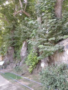 Святыня "Ходжа Чорчинор" в Самарканде