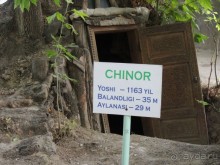 Святыня "Ходжа Чорчинор" в Самарканде