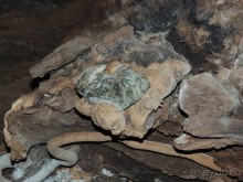 Святыня "Ходжа Чорчинор" в Самарканде