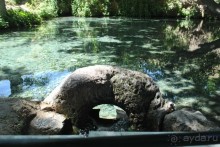 Святыня "Ходжа Чорчинор" в Самарканде