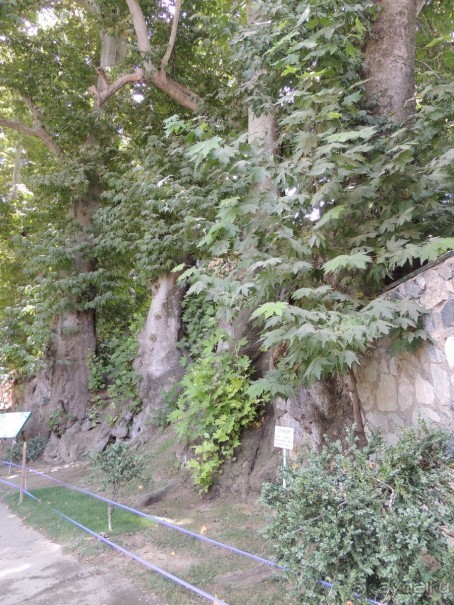 Святыня "Ходжа Чорчинор" в Самарканде