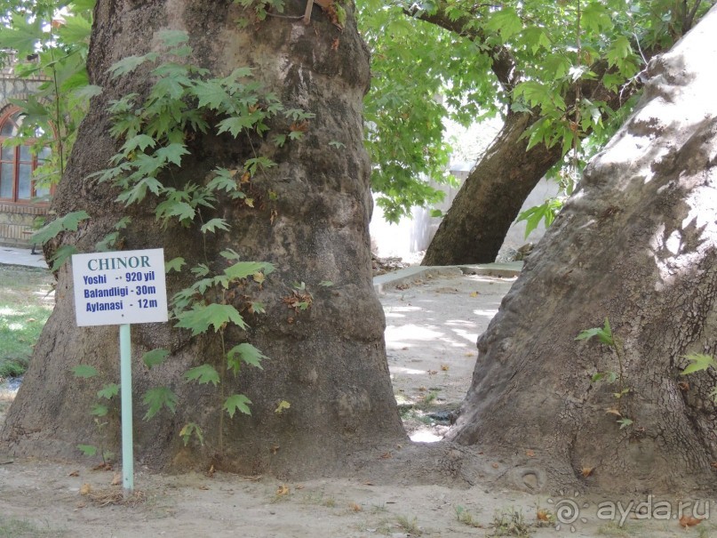 Святыня "Ходжа Чорчинор" в Самарканде
