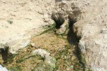 Культовый памятник «Ходжа Мазгил Ота»