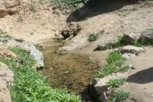 Культовый памятник «Ходжа Мазгил Ота»