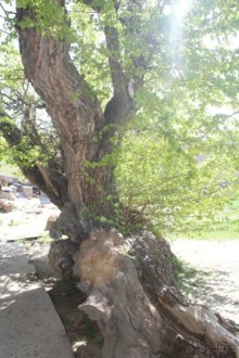 Культовый памятник «Ходжа Мазгил Ота»