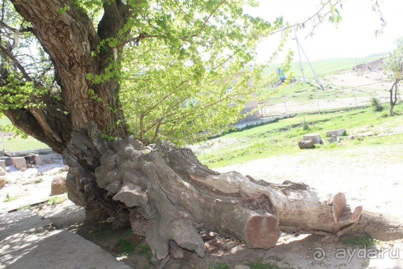 Культовый памятник «Ходжа Мазгил Ота»