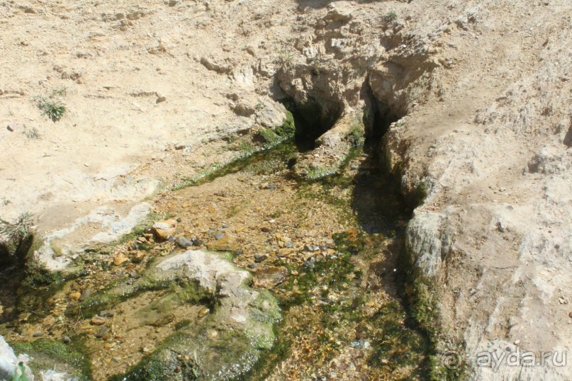 Культовый памятник «Ходжа Мазгил Ота»