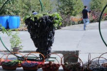 Участники международного симпозиума в Самарканде