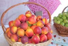 Участники международного симпозиума в Самарканде