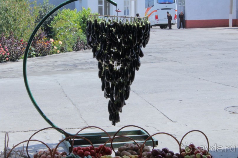 Участники международного симпозиума в Самарканде