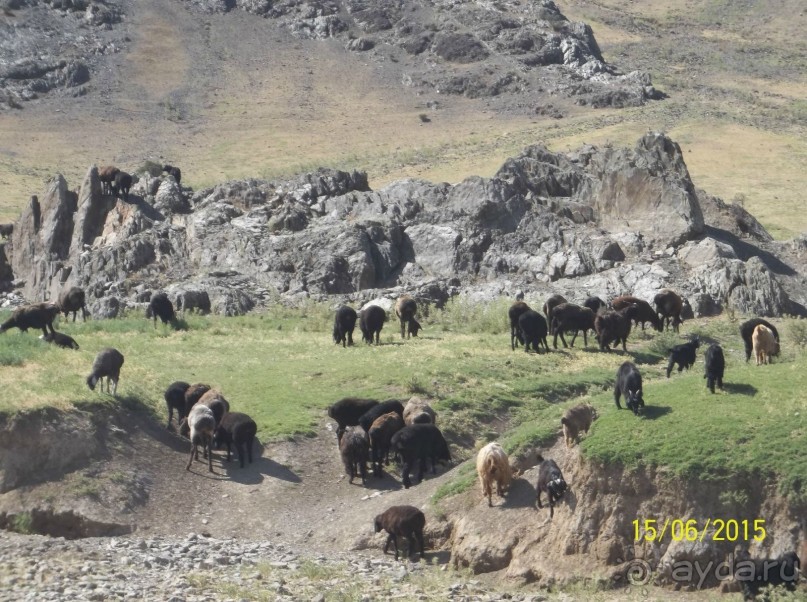 Космические послания в долине реки Сангзар
