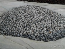 Шурдонак - усто