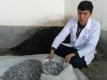 Шурдонак - усто