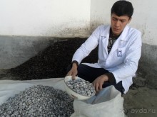 Шурдонак - усто