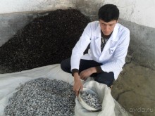 Шурдонак - усто