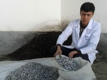 Шурдонак - усто