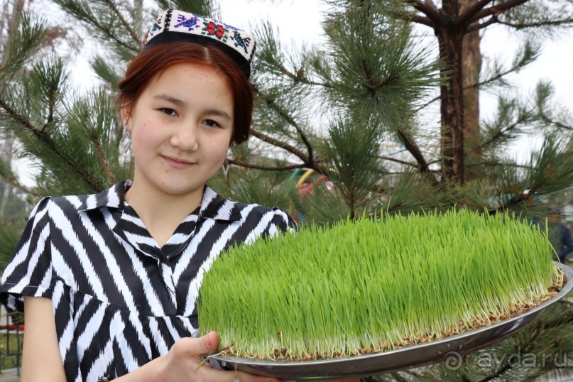 Альбом отзыва "Мягкий ветерок Навруза лелеет наши души"