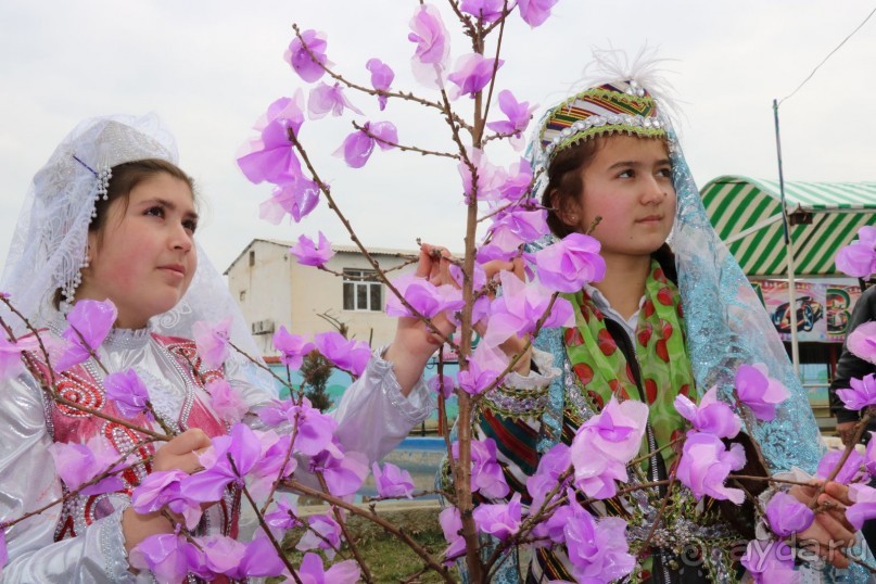 Мягкий ветерок Навруза лелеет наши души