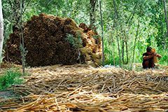 Фабрика "Мерос" и самаркандская бумага