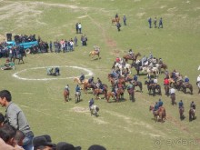 Альбом отзыва "Купкари в Самарканде"