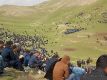 Альбом отзыва "Купкари в Самарканде"