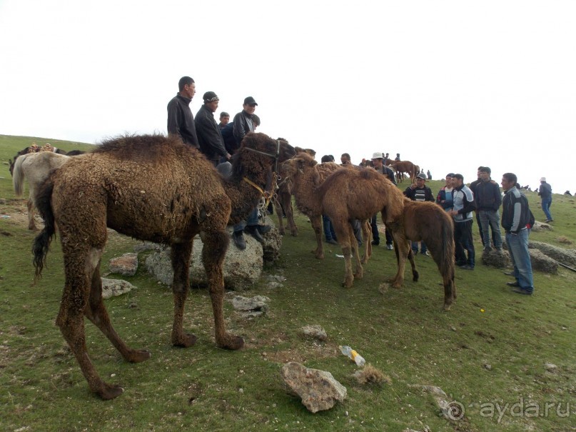 Купкари в Самарканде