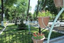 Фестиваль ценителей  музыки 